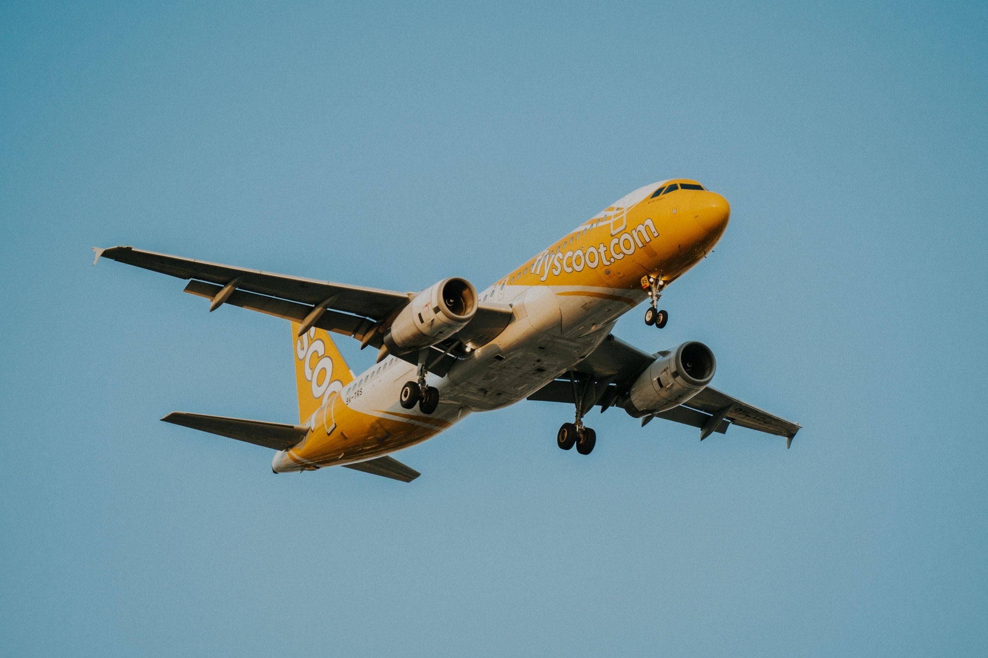 Scoot boosts flights for Northern Winter season amid rising travel demand